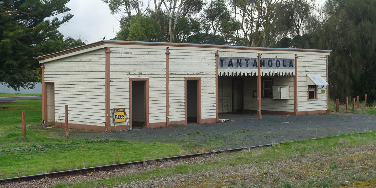 Tantanoola Tiger Hotel Photo